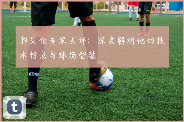 郭艾伦专家点评：深度解析他的技术特点与球场智慧